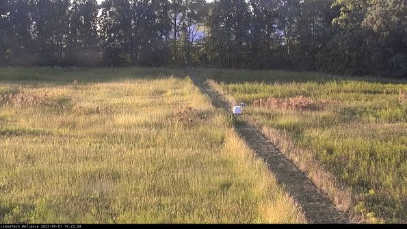 Cell 3 to 4_23-09-01_19-23-24-85