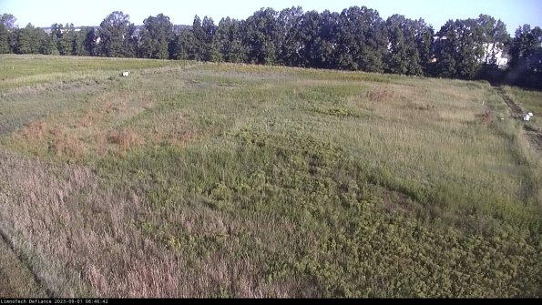 Cell 3_23-09-01_08-46-42-90