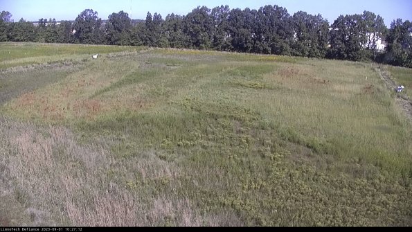 Cell 3_23-09-01_10-27-12-89