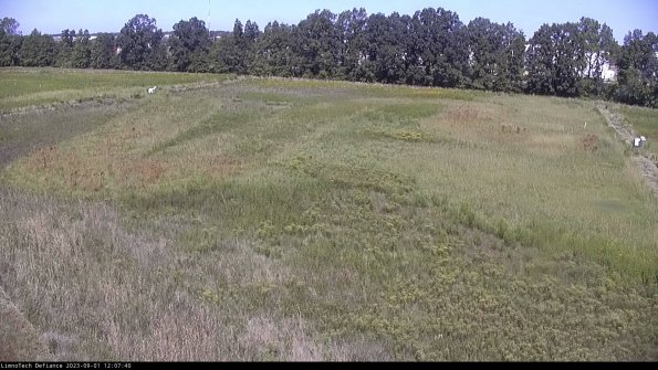 Cell 3_23-09-01_12-07-40-85