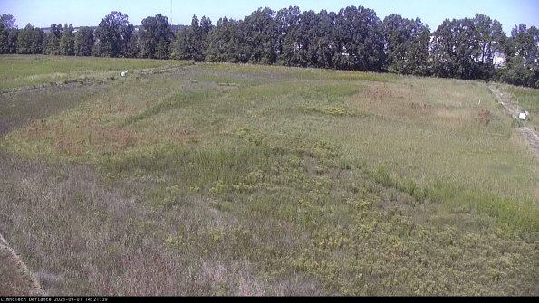 Cell 3_23-09-01_14-21-39-87