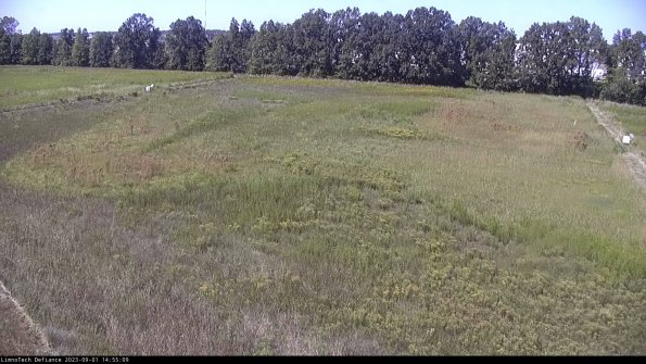 Cell 3_23-09-01_14-55-09-89