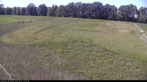 Cell 3_23-09-01_16-02-09-89