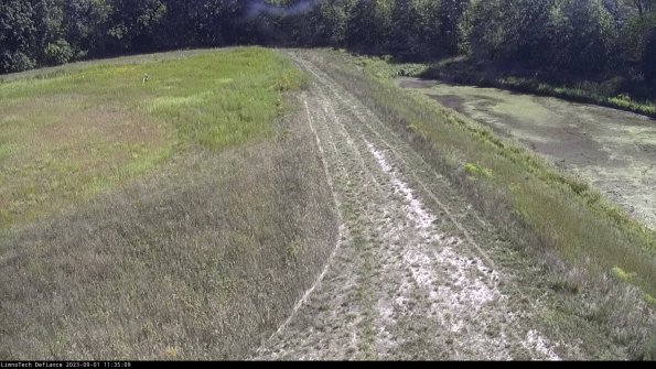 Cell 4 to Basin_23-09-01_11-35-09-86