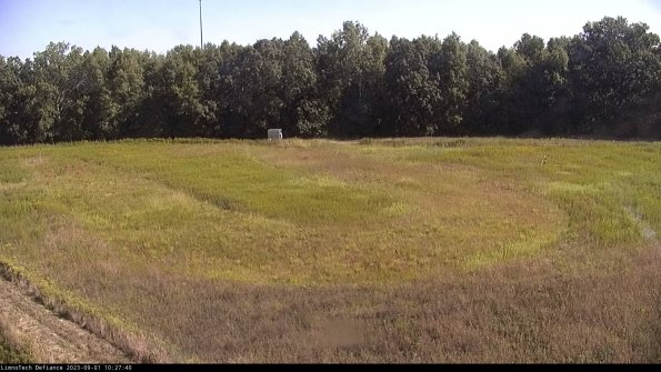 Cell 4_23-09-01_10-27-40-89