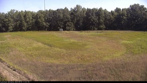 Cell 4_23-09-01_11-01-10-88