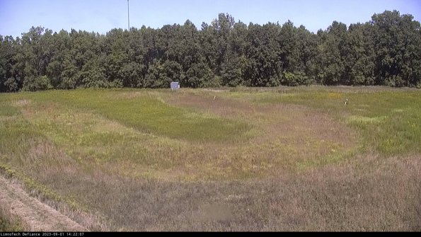 Cell 4_23-09-01_14-22-07-86