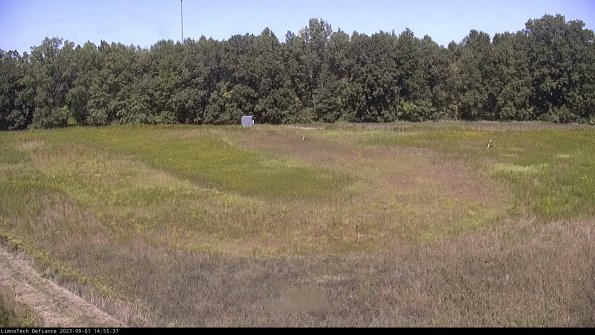 Cell 4_23-09-01_14-55-37-88