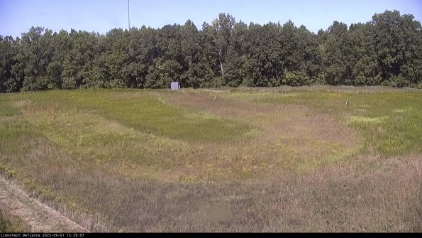 Cell 4_23-09-01_15-29-07-87