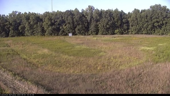 Cell 4_23-09-01_18-16-38-89