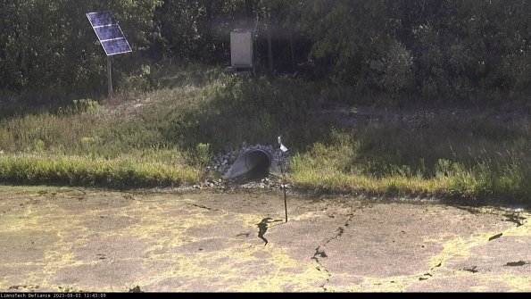 Basin Inflow_23-09-03_12-43-10-05