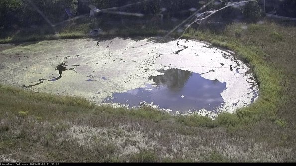 Basin Right_23-09-03_11-36-26-86