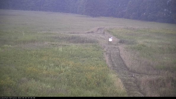 Cell 1 to 2_23-09-03_07-06-08-89