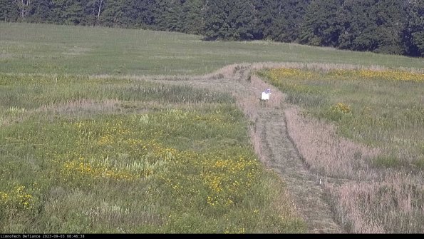 Cell 1 to 2_23-09-03_08-46-38-89