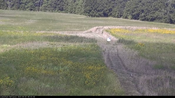 Cell 1 to 2_23-09-03_09-53-36-89