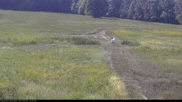 Cell 1 to 2_23-09-03_16-35-29-89