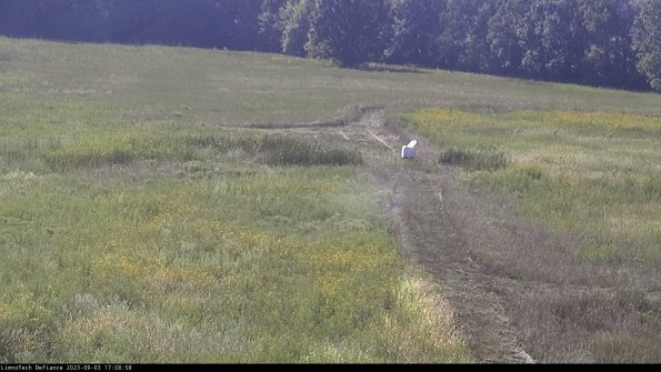 Cell 1 to 2_23-09-03_17-08-58-87