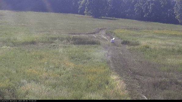 Cell 1 to 2_23-09-03_17-42-27-85