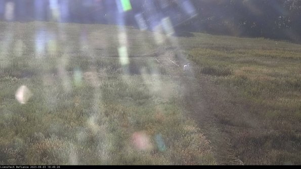 Cell 1 to 2_23-09-03_18-49-26-89