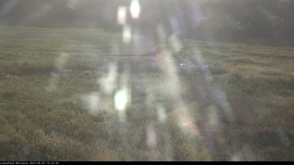 Cell 1 to 2_23-09-03_19-22-55-87