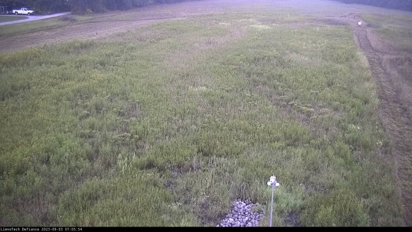 Cell 1_23-09-03_07-05-54-88