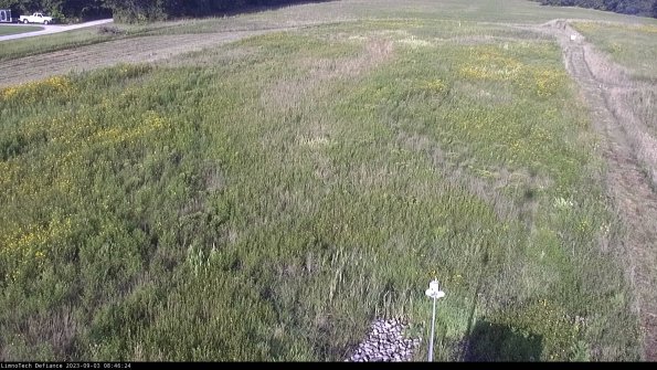 Cell 1_23-09-03_08-46-24-87