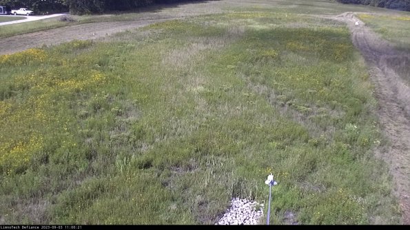 Cell 1_23-09-03_11-00-21-85