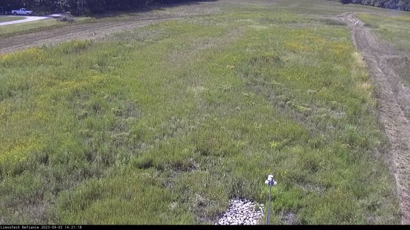 Cell 1_23-09-03_14-21-18-87