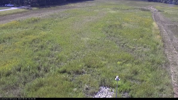 Cell 1_23-09-03_14-54-48-88