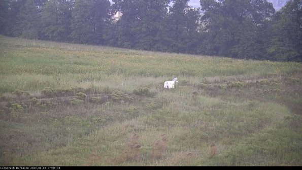 Cell 2 to 3_23-09-03_07-06-35-02