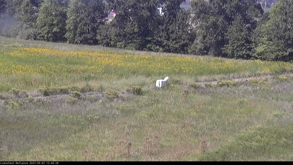 Cell 2 to 3_23-09-03_13-48-29-12