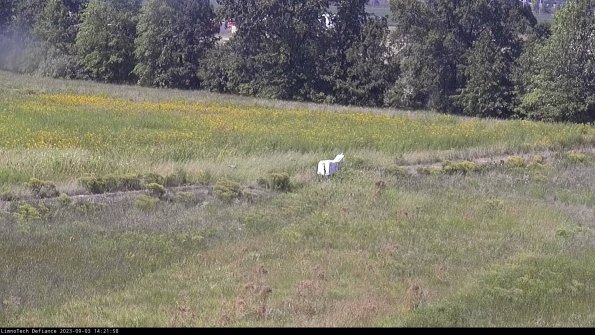 Cell 2 to 3_23-09-03_14-21-59-01