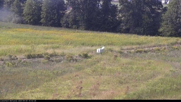 Cell 2 to 3_23-09-03_16-02-26-99