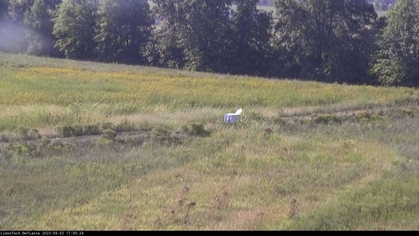 Cell 2 to 3_23-09-03_17-09-24-93