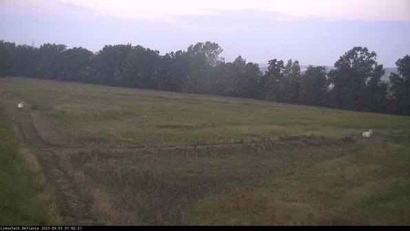 Cell 2_23-09-03_07-06-21-91