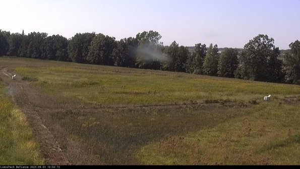 Cell 2_23-09-03_16-02-13-88