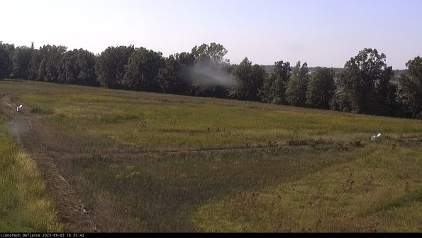 Cell 2_23-09-03_16-35-42-97