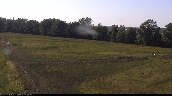 Cell 2_23-09-03_17-09-11-88