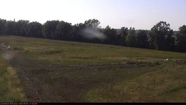 Cell 2_23-09-03_17-42-40-93