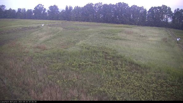 Cell 3_23-09-03_07-06-49-90