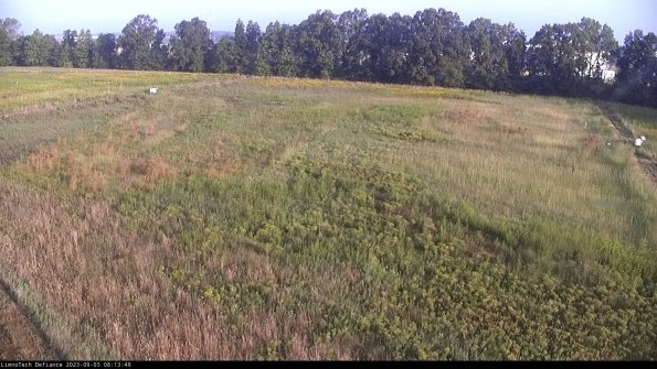 Cell 3_23-09-03_08-13-49-87