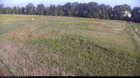 Cell 3_23-09-03_08-47-19-89