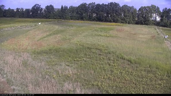 Cell 3_23-09-03_10-27-47-89