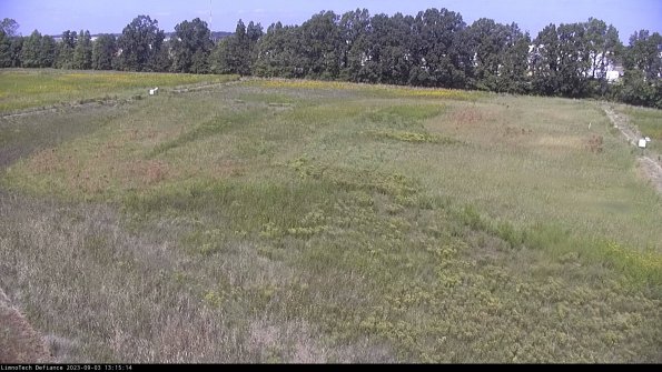 Cell 3_23-09-03_13-15-14-88