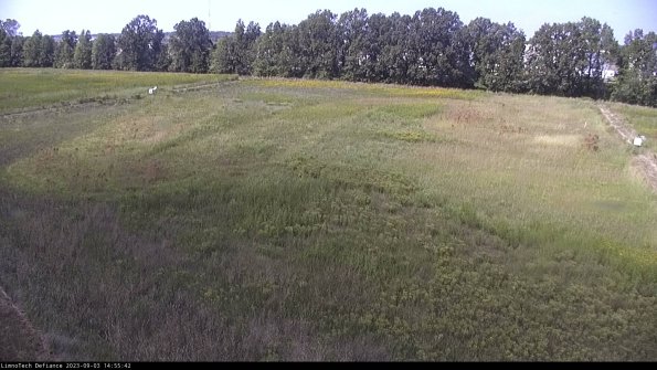 Cell 3_23-09-03_14-55-43-11