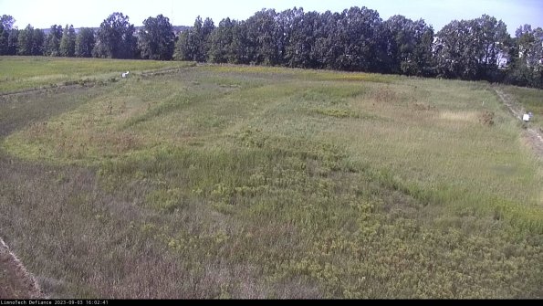 Cell 3_23-09-03_16-02-41-88