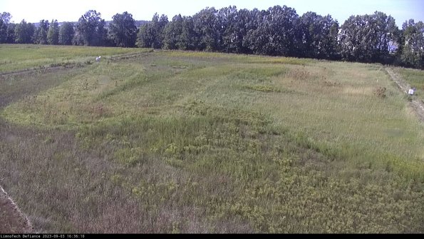 Cell 3_23-09-03_16-36-10-86