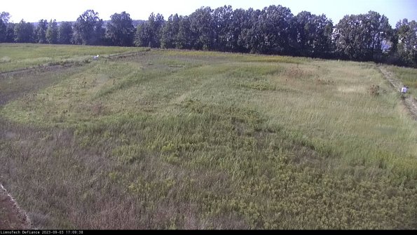 Cell 3_23-09-03_17-09-39-14