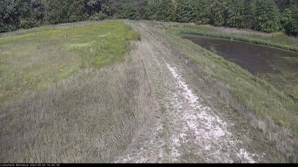 Cell 4 to Basin_23-09-03_16-03-39-87