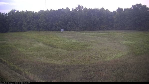 Cell 4_23-09-03_07-07-17-86